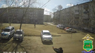 В Биробиджане "игрушечный" арсенал обернулся уголовным делом: мужчина направил пистолет на полицейских