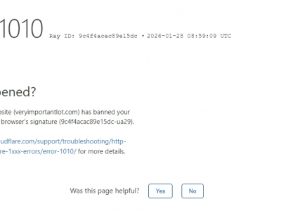 Жизнь и творчество Рафаэля Санти: краткая биография великого художника