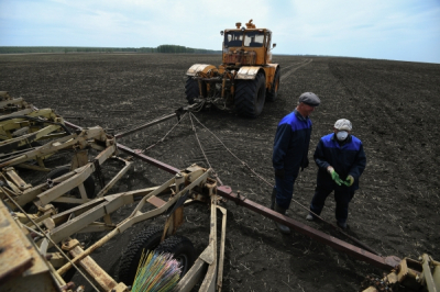 Почему в сельском хозяйстве не хватает рабочих рук