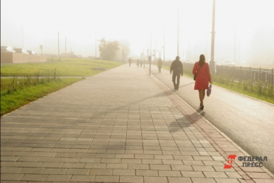 В Петербурге назвали сроки исчезновения запаха химикатов и оценили риск для жителей