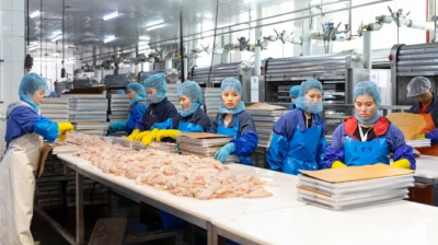 Иваси против течения: как одна рыба переписала историю "Доброфлота"