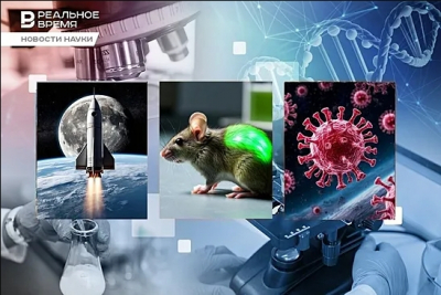 2025 &mdash; год, когда мода разогналась до предельной скорости